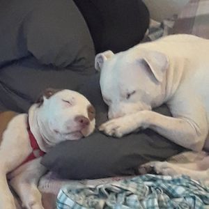 Meet your Posher, Katrina